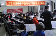 长春市绿园小学“利来国际示范管乐队大师班”顺利结束 